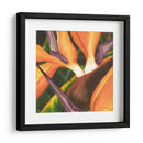 Ave Del Paraíso II Del Azulejo - Jason Higby | Cuadro decorativo de Canvas Lab