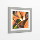 Ave Del Paraíso II Del Azulejo - Jason Higby | Cuadro decorativo de Canvas Lab