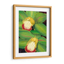 Cal Orquídea I - Jason Higby | Cuadro decorativo de Canvas Lab