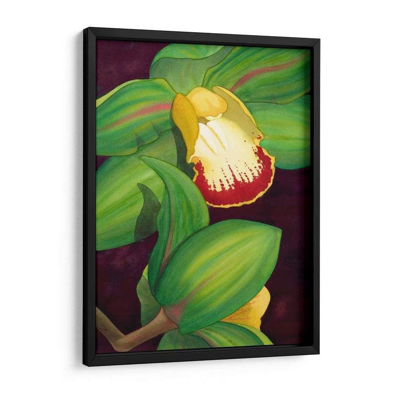 Cal Orquídea II - Jason Higby | Cuadro decorativo de Canvas Lab