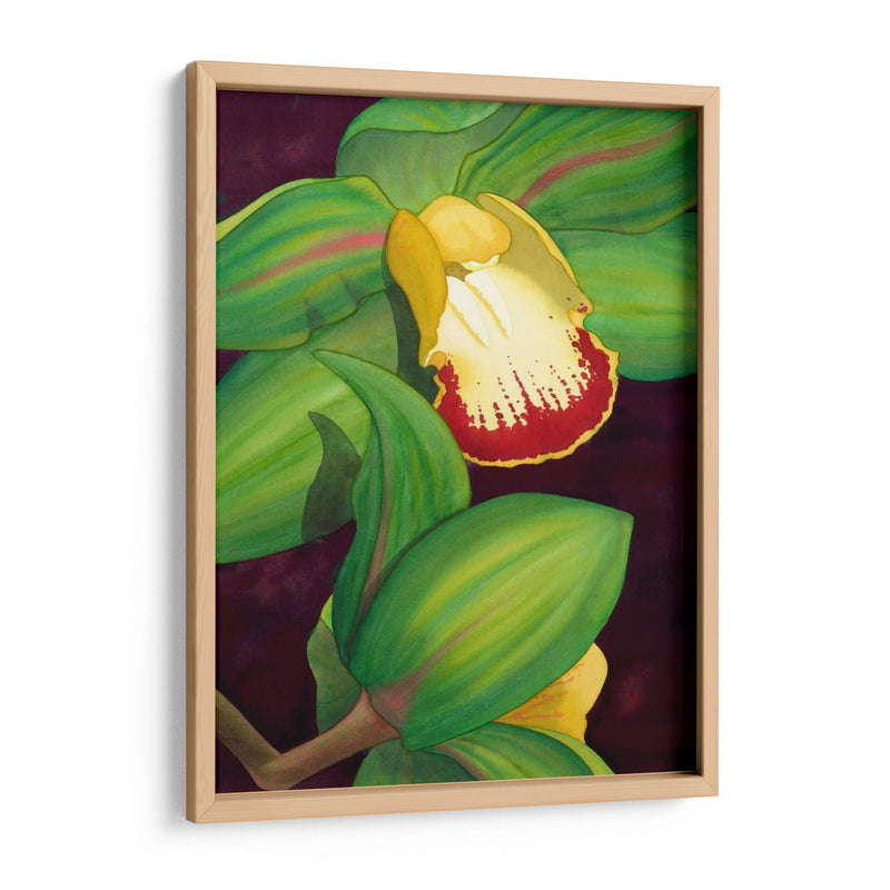 Cal Orquídea II - Jason Higby | Cuadro decorativo de Canvas Lab