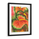 Anturios II - Jason Higby | Cuadro decorativo de Canvas Lab