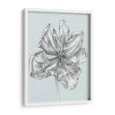 Azul Plateada Tulipanes IV - Jennifer Goldberger | Cuadro decorativo de Canvas Lab