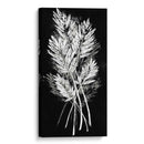 Hoja De Palmera Fresco II - Vision Studio | Cuadro decorativo de Canvas Lab