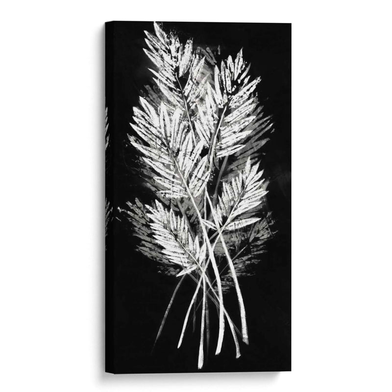 Hoja De Palmera Fresco II - Vision Studio | Cuadro decorativo de Canvas Lab