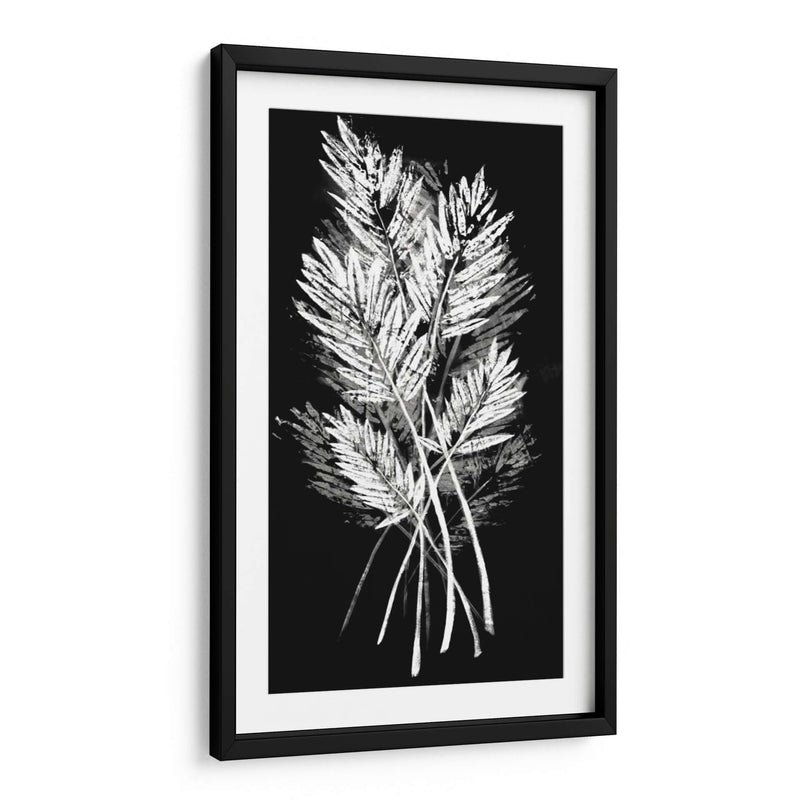 Hoja De Palmera Fresco II - Vision Studio | Cuadro decorativo de Canvas Lab