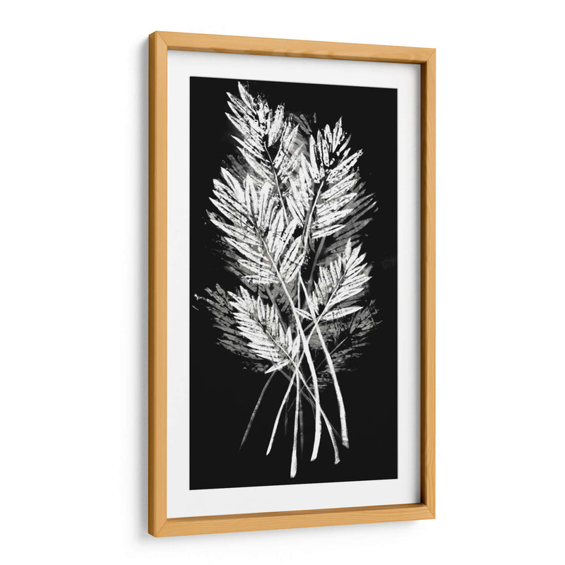 Hoja De Palmera Fresco II - Vision Studio | Cuadro decorativo de Canvas Lab