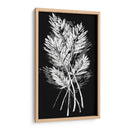 Hoja De Palmera Fresco II - Vision Studio | Cuadro decorativo de Canvas Lab