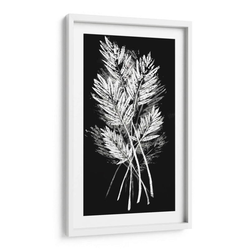 Hoja De Palmera Fresco II - Vision Studio | Cuadro decorativo de Canvas Lab