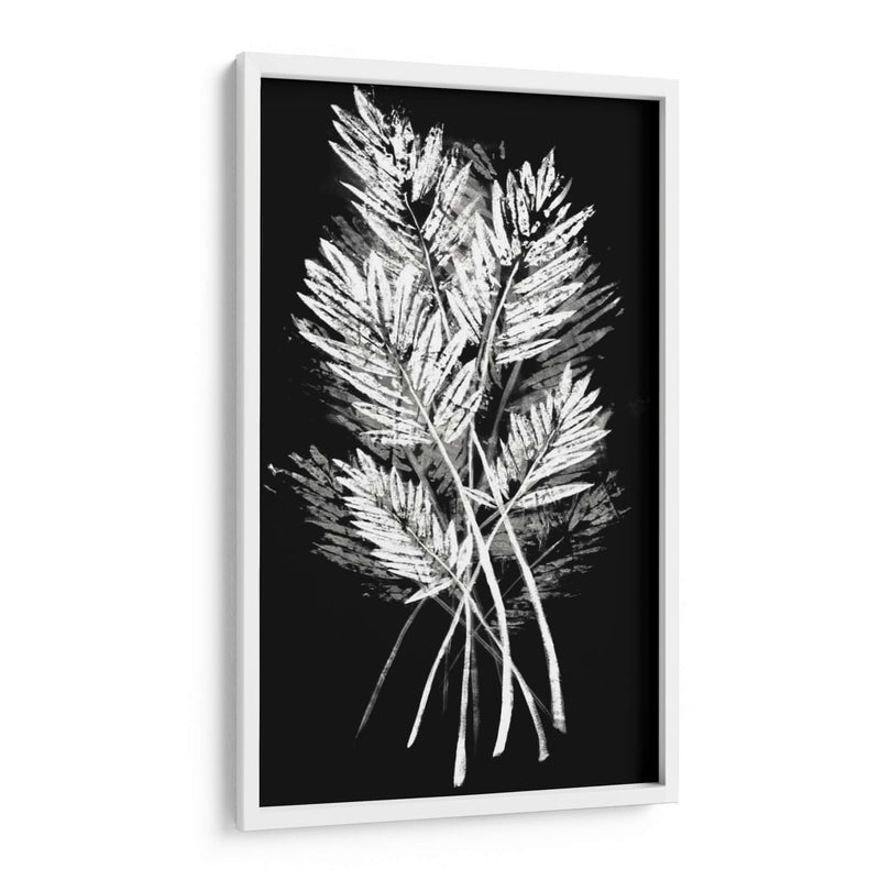 Hoja De Palmera Fresco II - Vision Studio | Cuadro decorativo de Canvas Lab