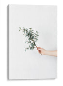 Sosteniendo una ramita | Cuadro decorativo de Canvas Lab