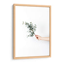 Sosteniendo una ramita | Cuadro decorativo de Canvas Lab