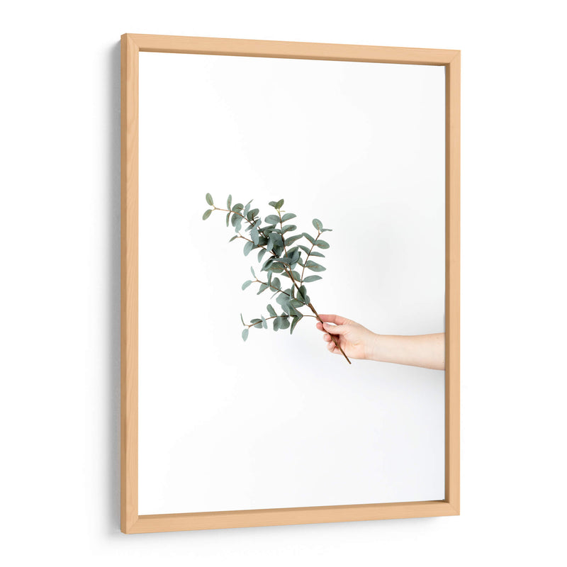 Sosteniendo una ramita | Cuadro decorativo de Canvas Lab
