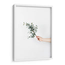 Sosteniendo una ramita | Cuadro decorativo de Canvas Lab
