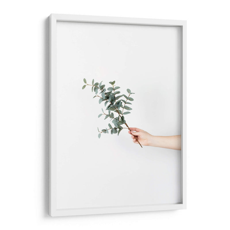Sosteniendo una ramita | Cuadro decorativo de Canvas Lab
