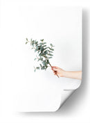 Sosteniendo una ramita | Cuadro decorativo de Canvas Lab