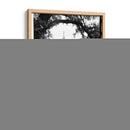 Reflexiones Castillo De Vajdahunyad - Laura DeNardo | Cuadro decorativo de Canvas Lab