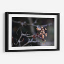 El recuerdo | Cuadro decorativo de Canvas Lab