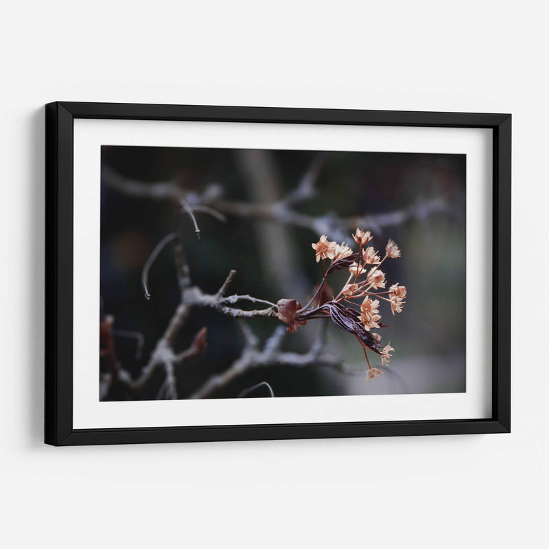 El recuerdo | Cuadro decorativo de Canvas Lab