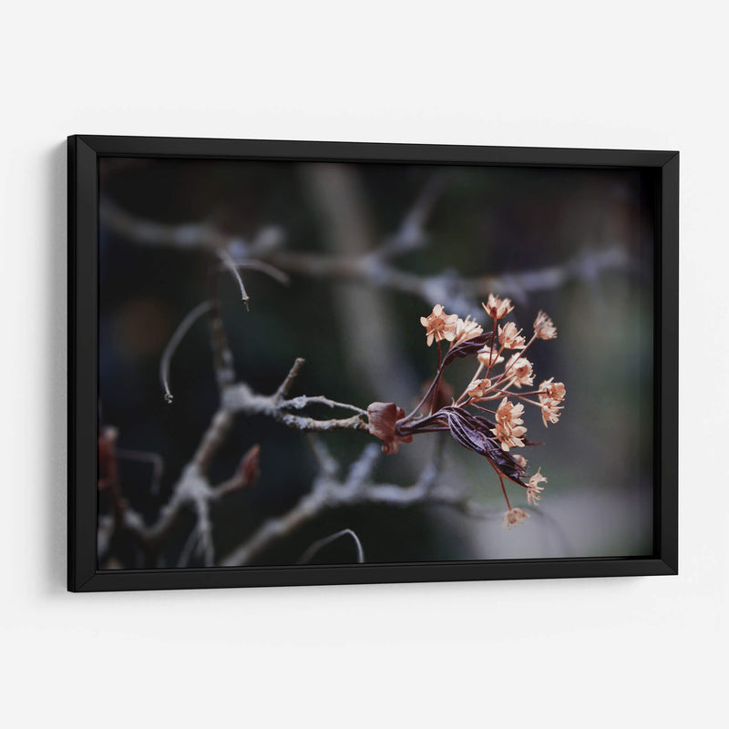 El recuerdo | Cuadro decorativo de Canvas Lab