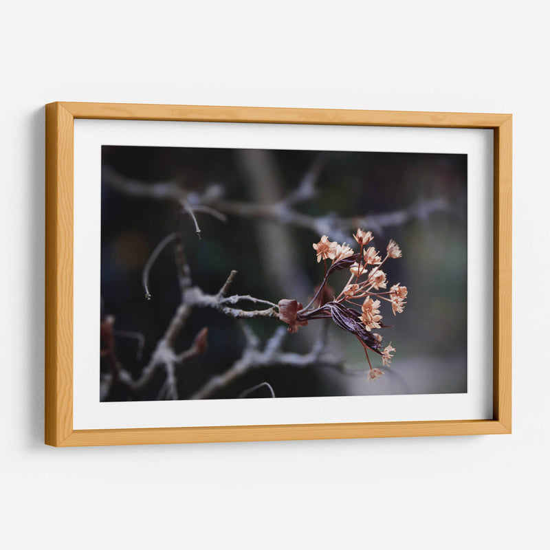 El recuerdo | Cuadro decorativo de Canvas Lab