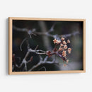 El recuerdo | Cuadro decorativo de Canvas Lab