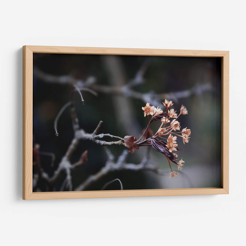El recuerdo | Cuadro decorativo de Canvas Lab