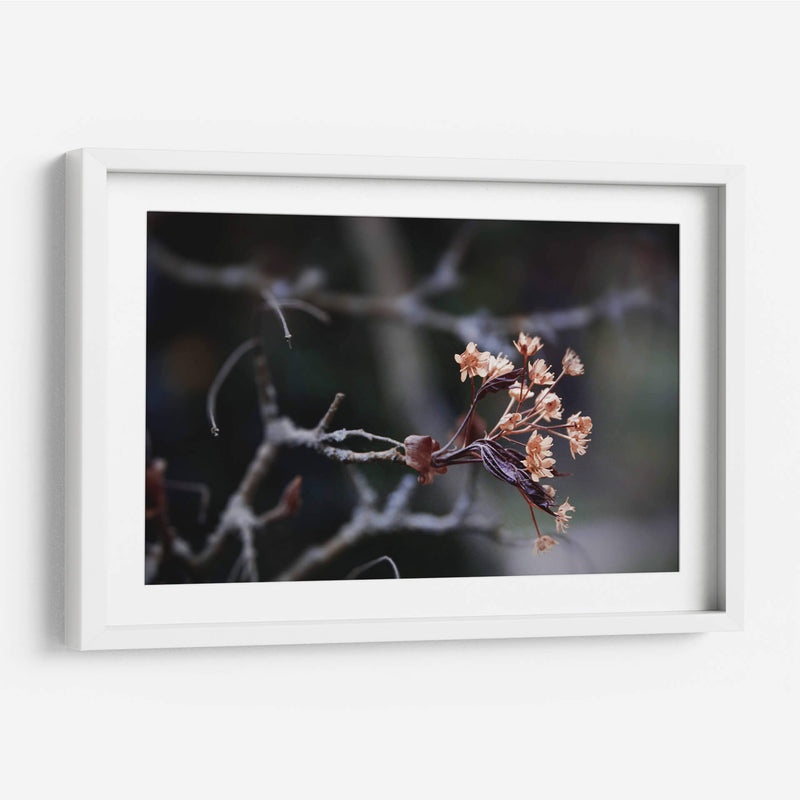 El recuerdo | Cuadro decorativo de Canvas Lab