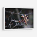 El recuerdo | Cuadro decorativo de Canvas Lab