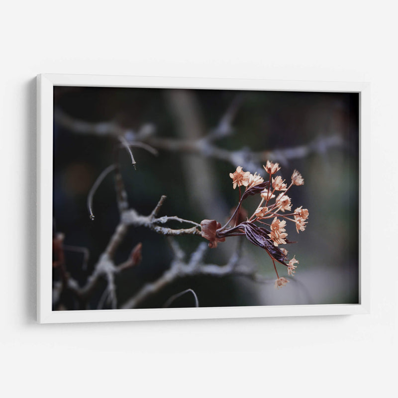El recuerdo | Cuadro decorativo de Canvas Lab