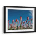 Temporada de tulipanes | Cuadro decorativo de Canvas Lab