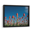 Temporada de tulipanes | Cuadro decorativo de Canvas Lab
