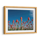 Temporada de tulipanes | Cuadro decorativo de Canvas Lab