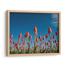 Temporada de tulipanes | Cuadro decorativo de Canvas Lab