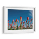Temporada de tulipanes | Cuadro decorativo de Canvas Lab
