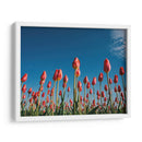 Temporada de tulipanes | Cuadro decorativo de Canvas Lab