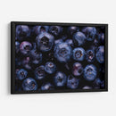 The blueberries | Cuadro decorativo de Canvas Lab