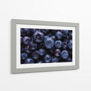 The blueberries | Cuadro decorativo de Canvas Lab