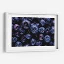 The blueberries | Cuadro decorativo de Canvas Lab