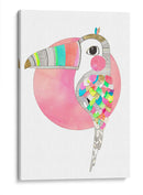 Tucán ilustrado | Cuadro decorativo de Canvas Lab