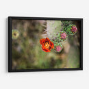 Tunas floreciendo | Cuadro decorativo de Canvas Lab