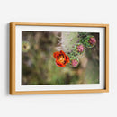 Tunas floreciendo | Cuadro decorativo de Canvas Lab