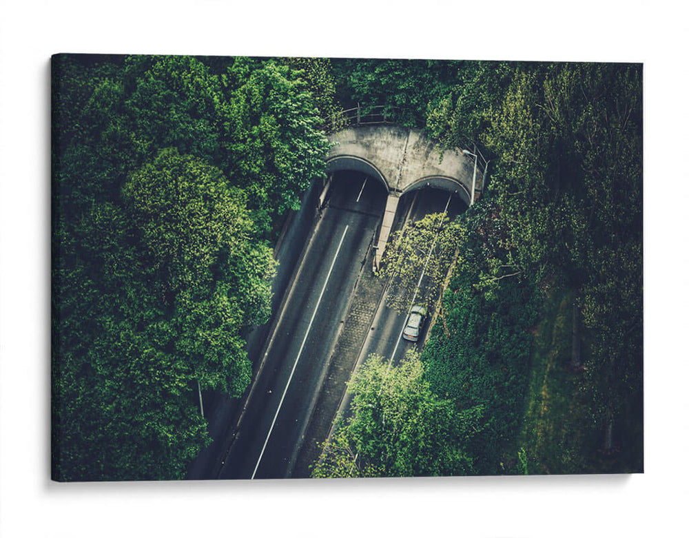 Túnel entre el bosque | Cuadro decorativo de Canvas Lab