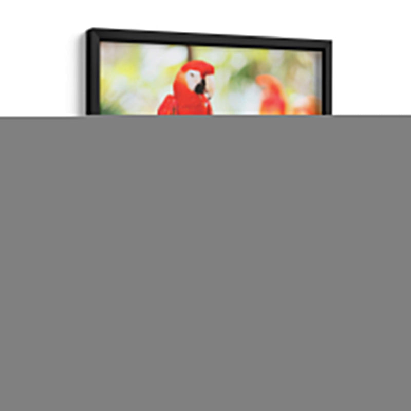 Un cotorro | Cuadro decorativo de Canvas Lab