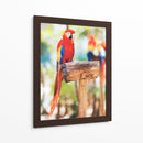Un cotorro | Cuadro decorativo de Canvas Lab