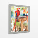 Un cotorro | Cuadro decorativo de Canvas Lab