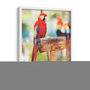 Un cotorro | Cuadro decorativo de Canvas Lab