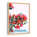 Un deseo de Bugambilias | Cuadro decorativo de Canvas Lab