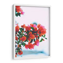 Un deseo de Bugambilias | Cuadro decorativo de Canvas Lab