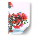 Un deseo de Bugambilias | Cuadro decorativo de Canvas Lab